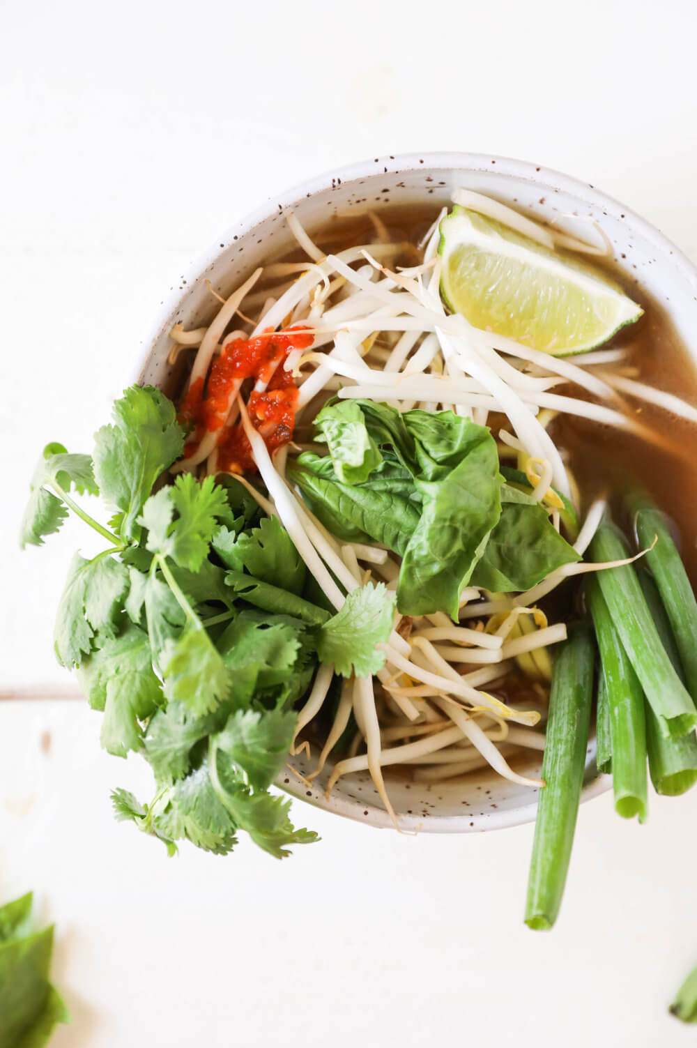 Zucchini Noodle Pho from The Big 10 Paleo Spiralizer Cookbook — Jessi's